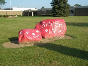 Albion Public Schools