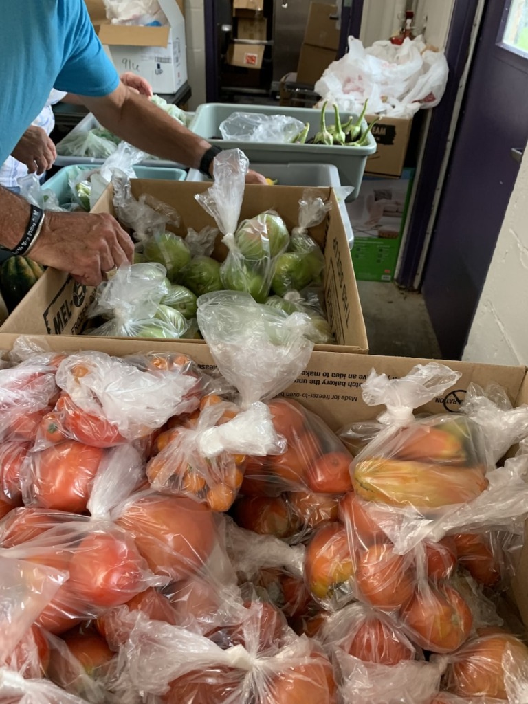 Harvest Packaged